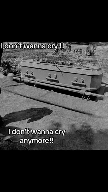 @lilcrashout666