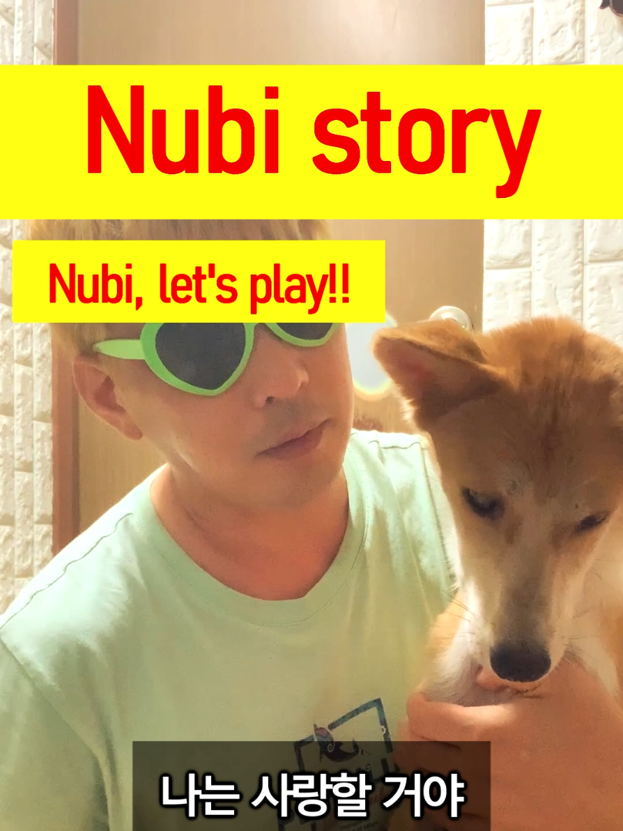 @누비★스토리 Nubi story