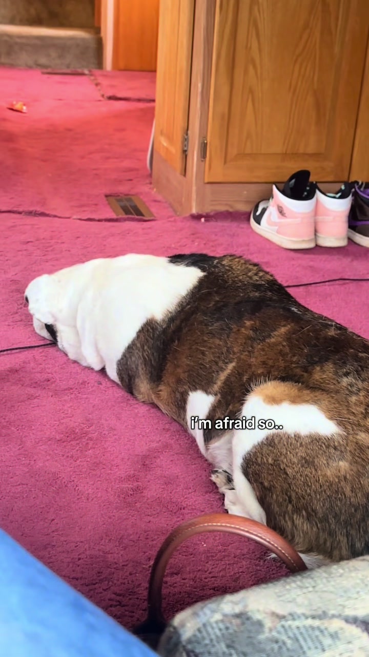 @💞
