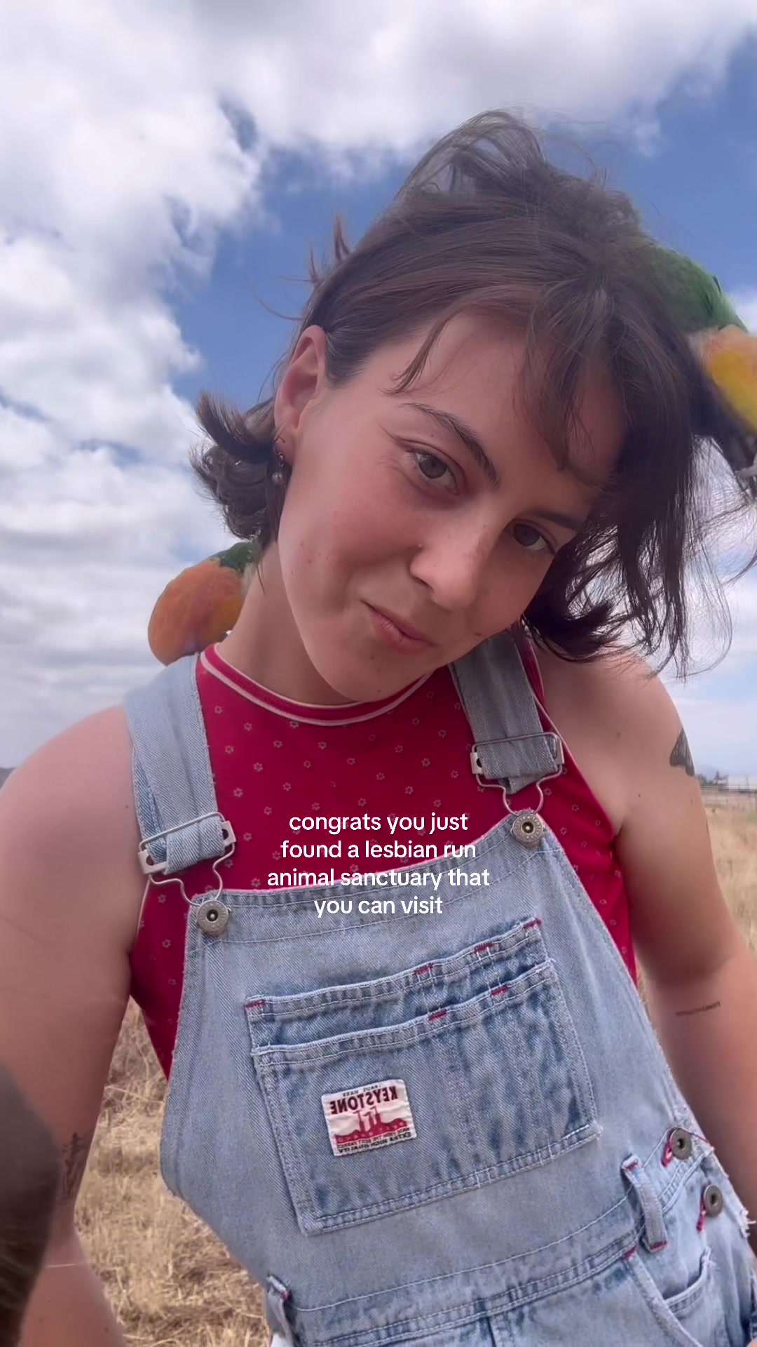 @Maya