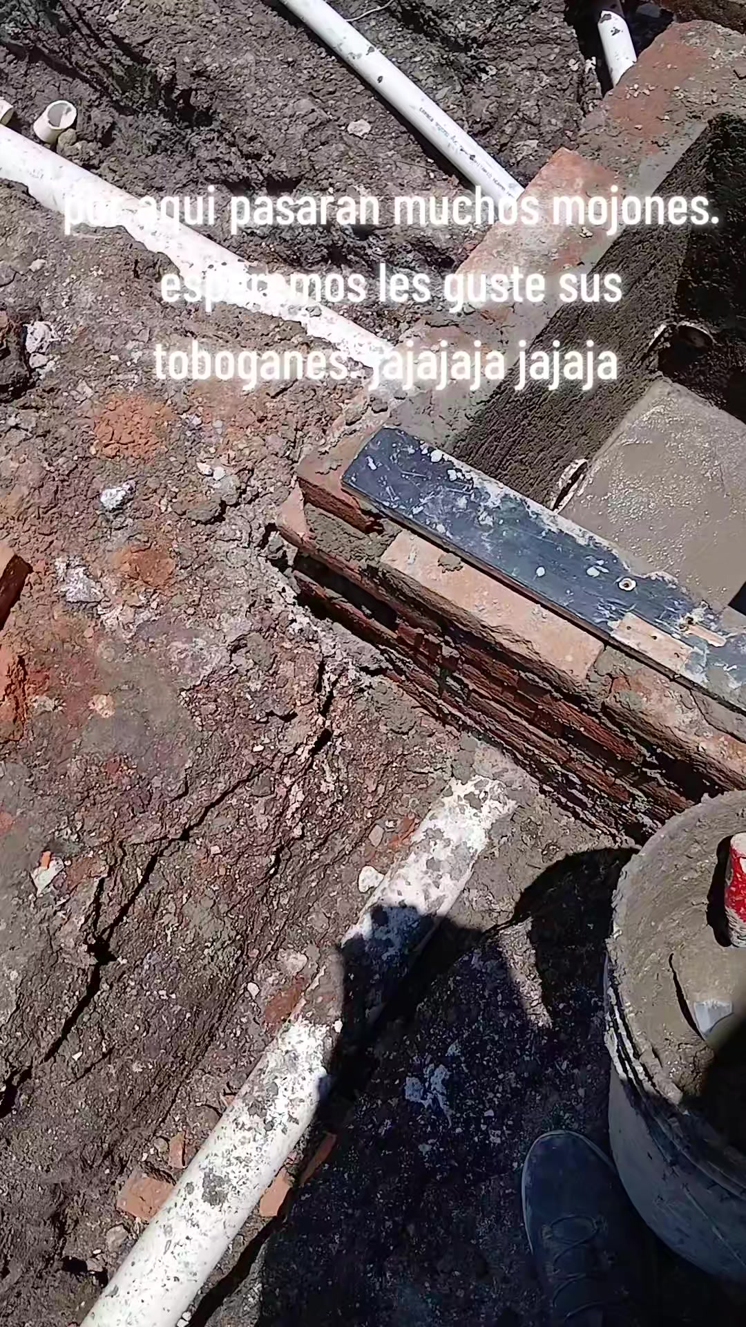 @Manuel Alejandro Mata