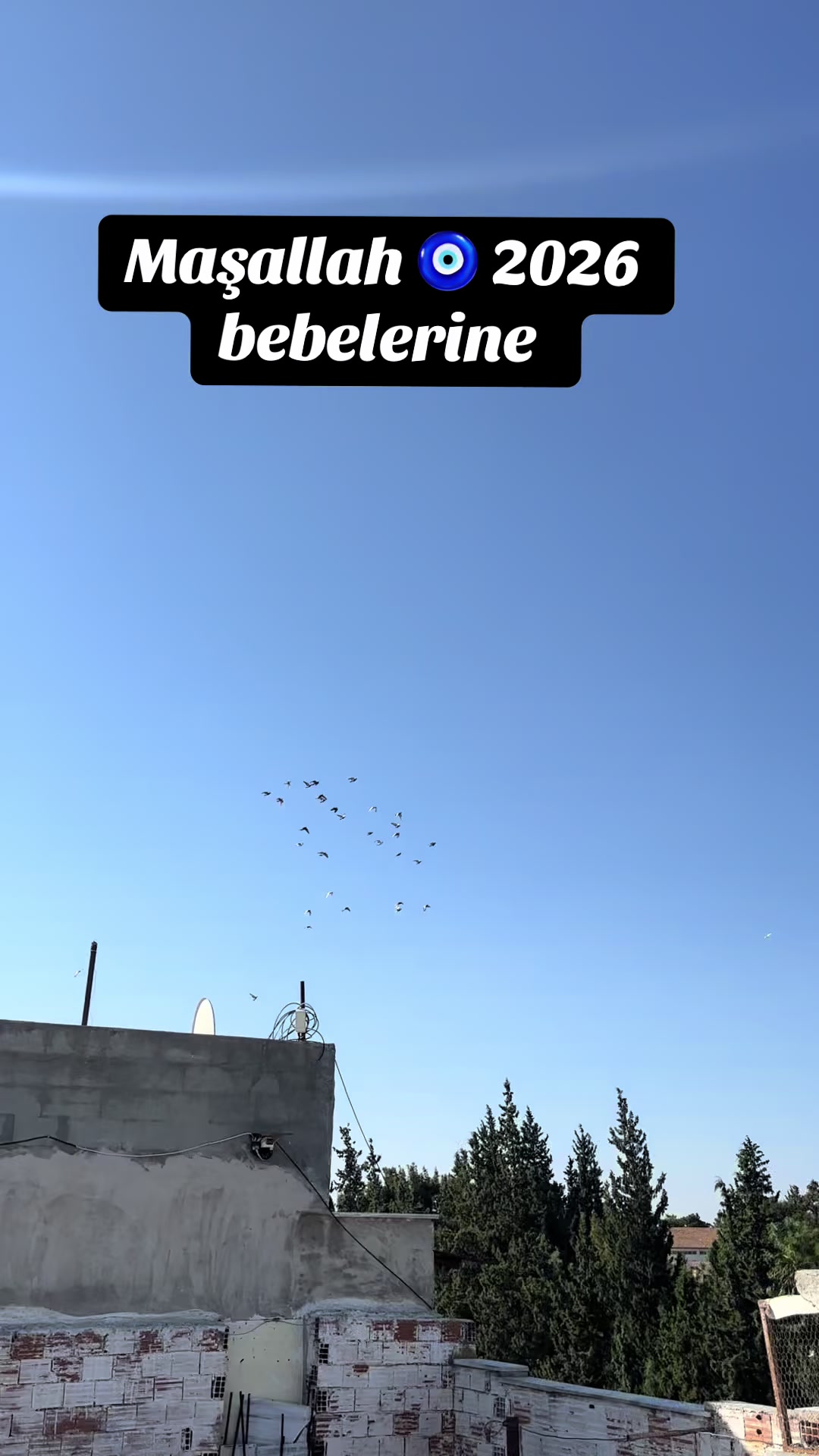 @MEMOŞ ZEMBİLCİOĞLU