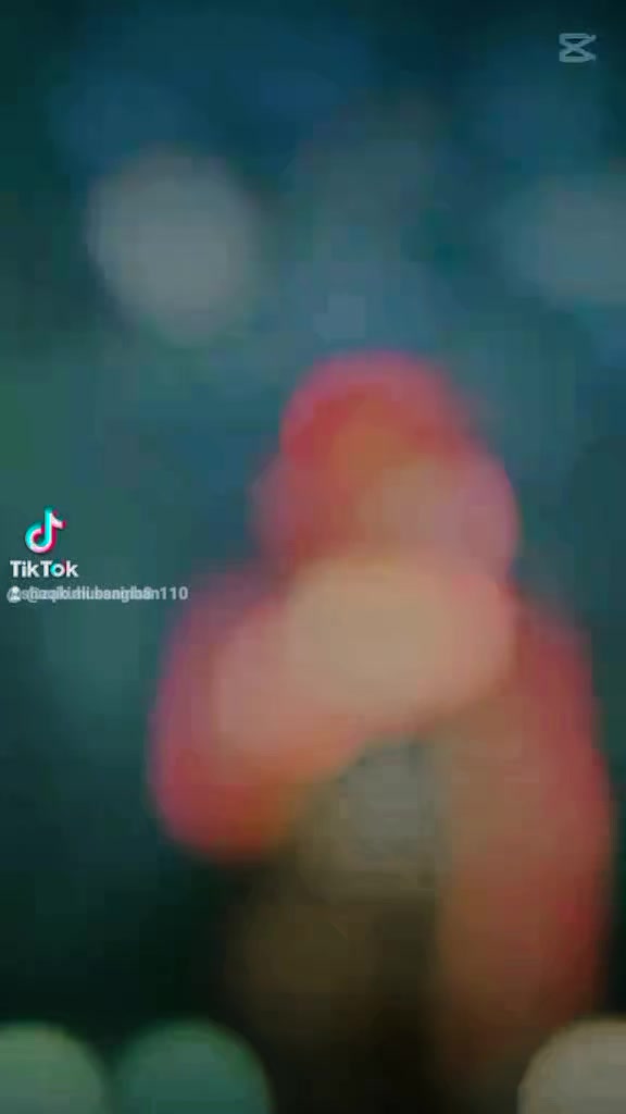 @✨ذاڪر حسين 🌟