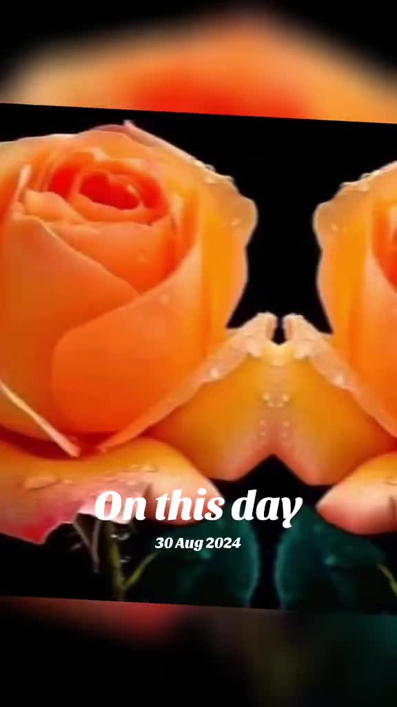 @yo nichu 123