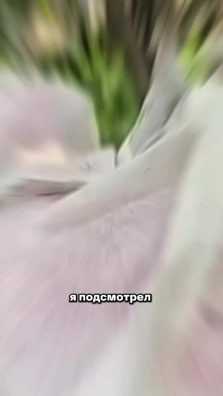 @Igor Ganea