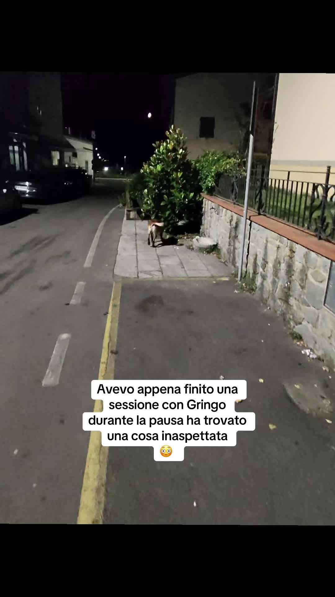 @Edopit94