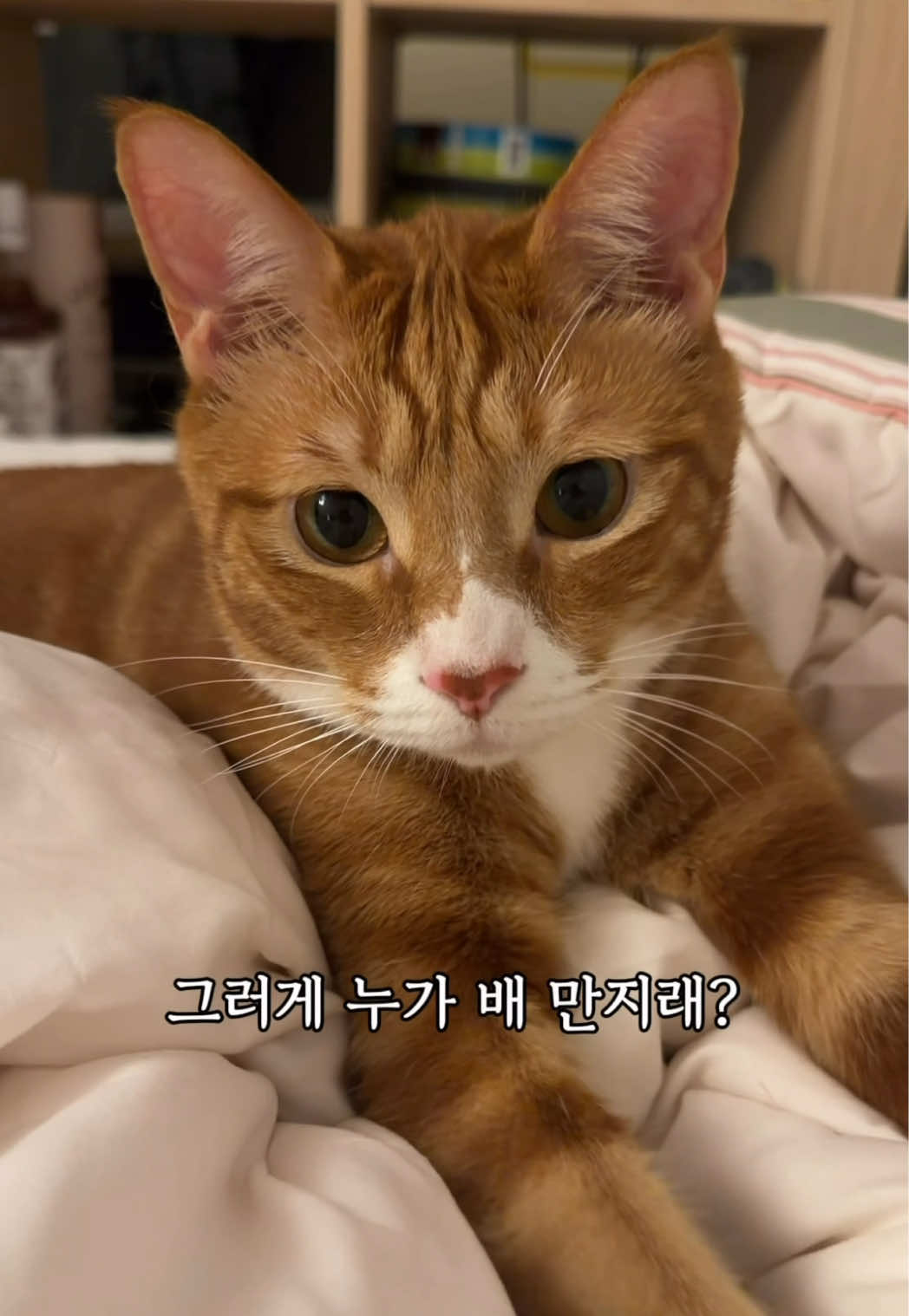 @뮤춘삼