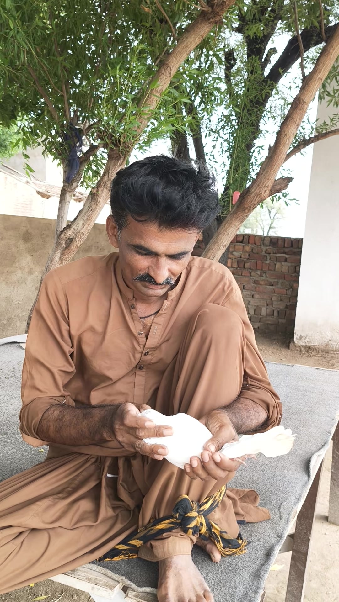 @Ali Halo189