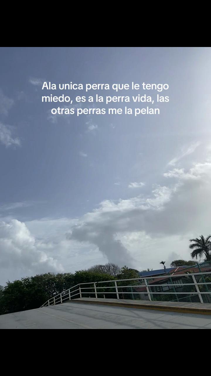 @Elizabeth pagoada