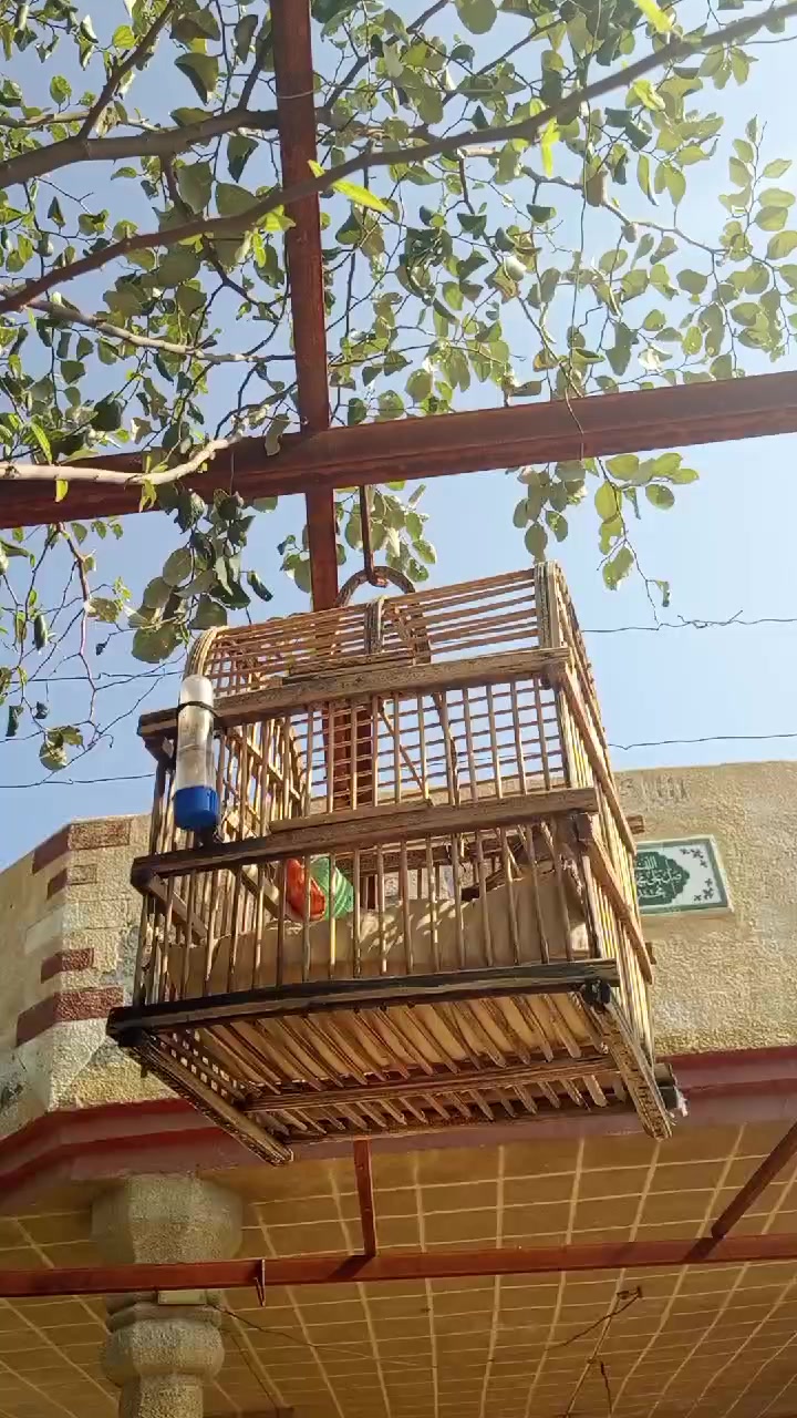 @هاجر طارق 🍒