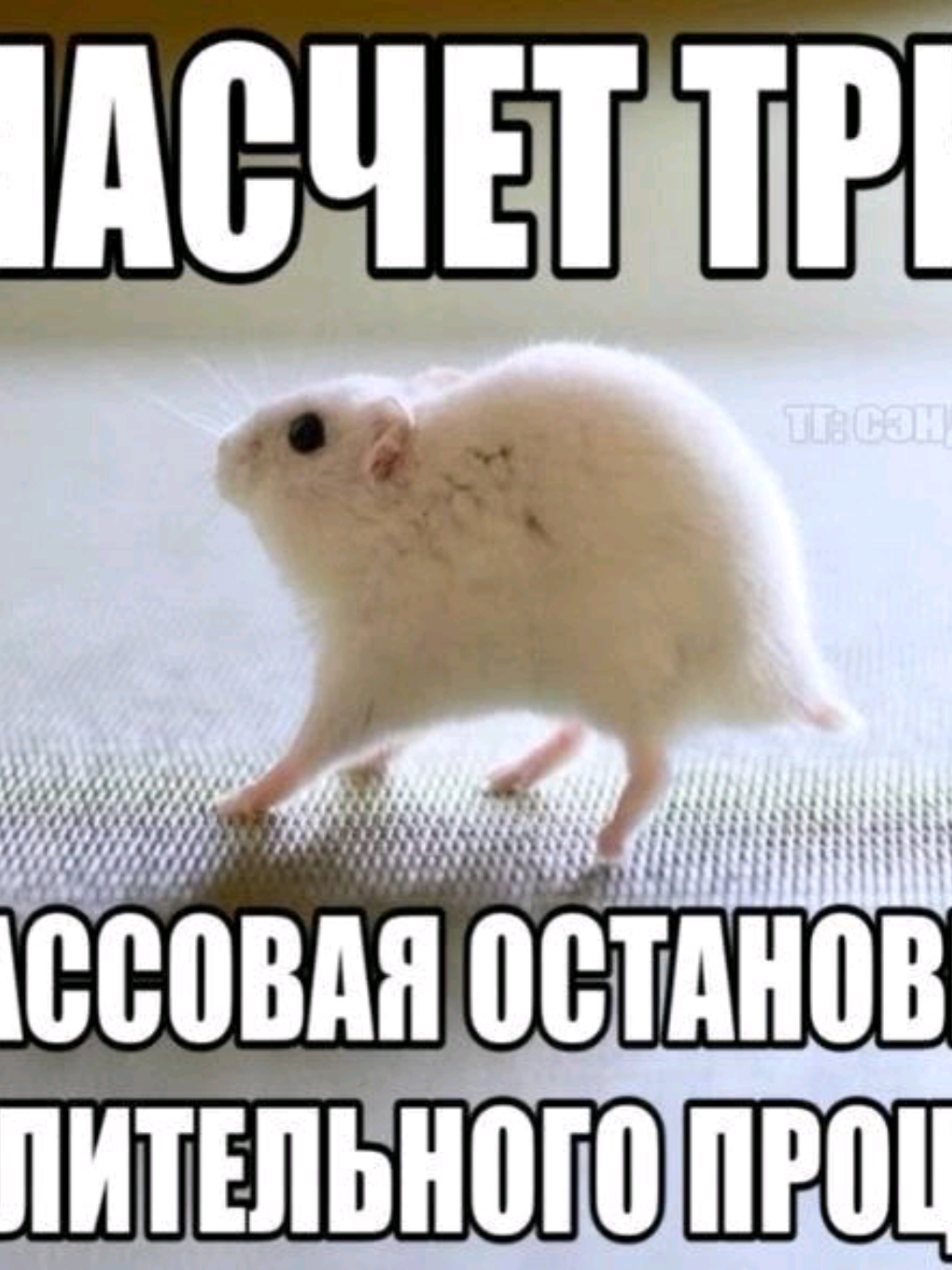 @BabaYaga!