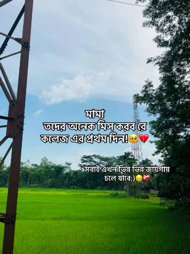 @টিক-টিকি
