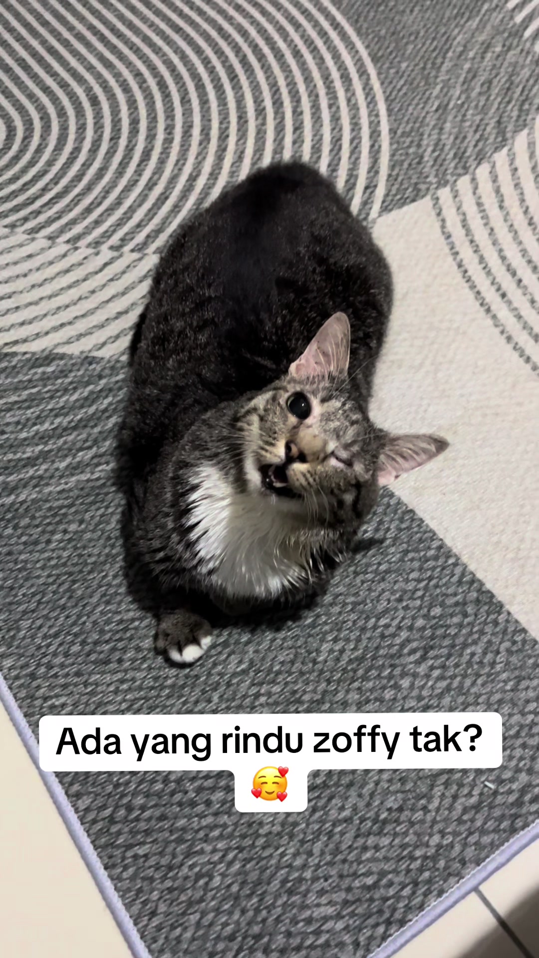@gengbulus