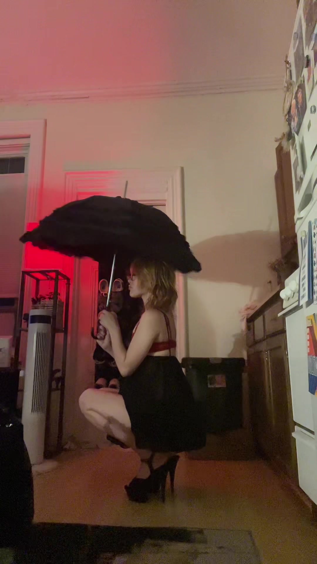 @DJ ₍^. .^₎⟆