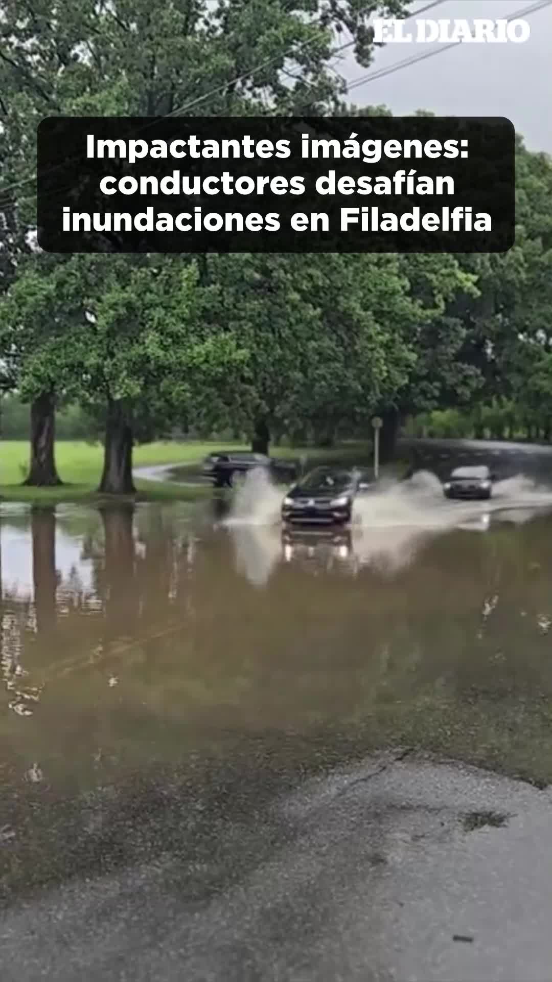 @eldiariony