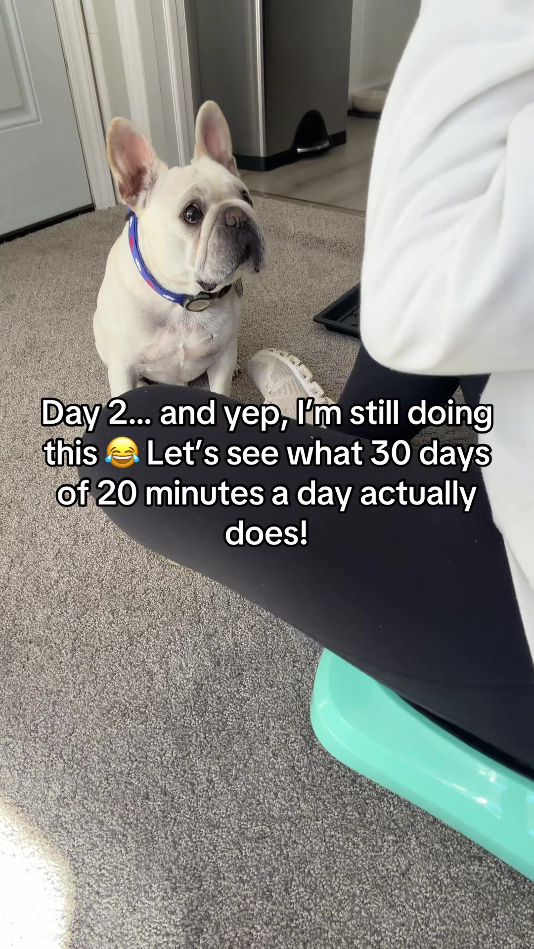 @Bagel the OG Frenchie