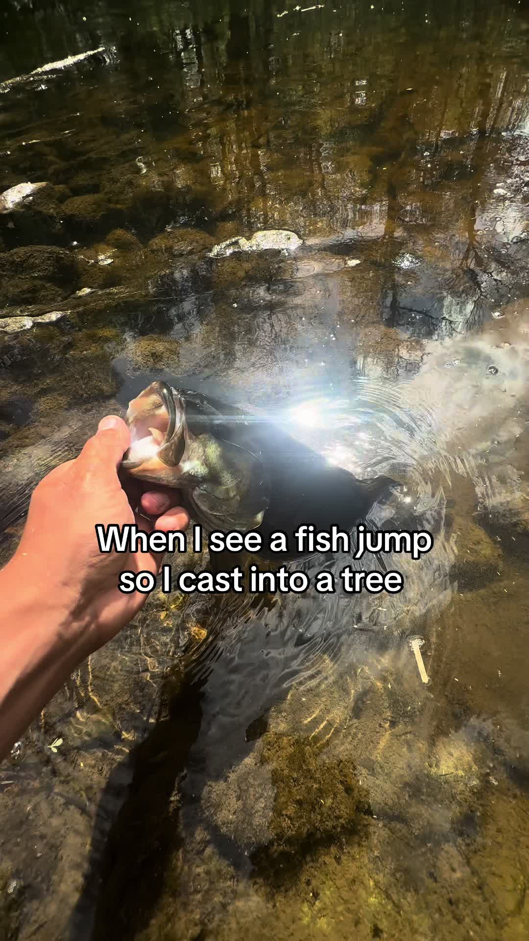 @218 fishing