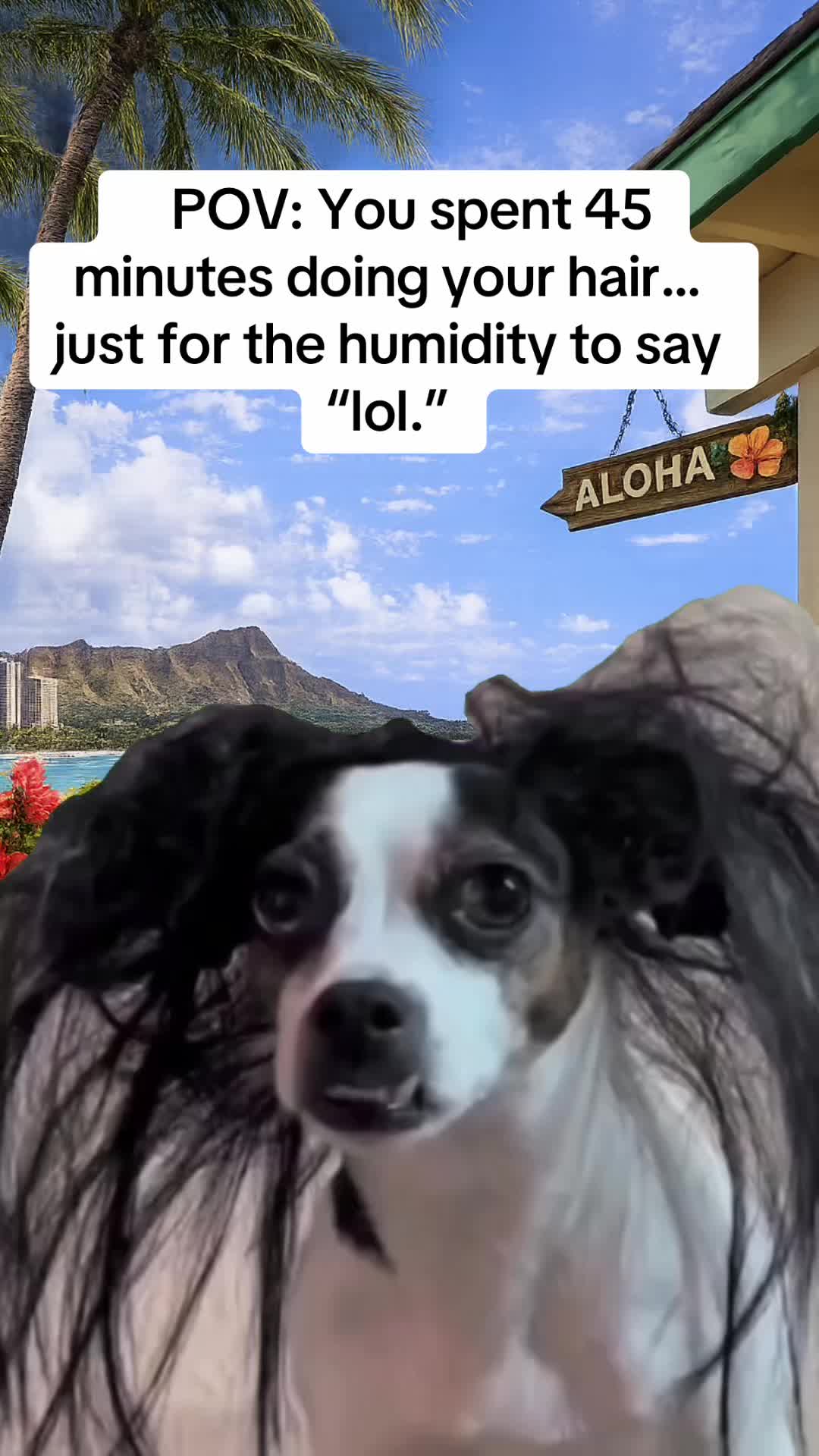 @Me, Myself in HI