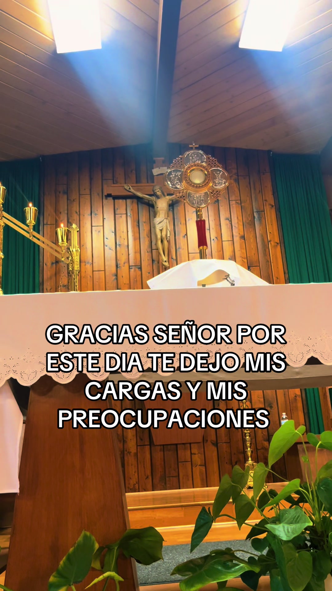 @salmacatolica