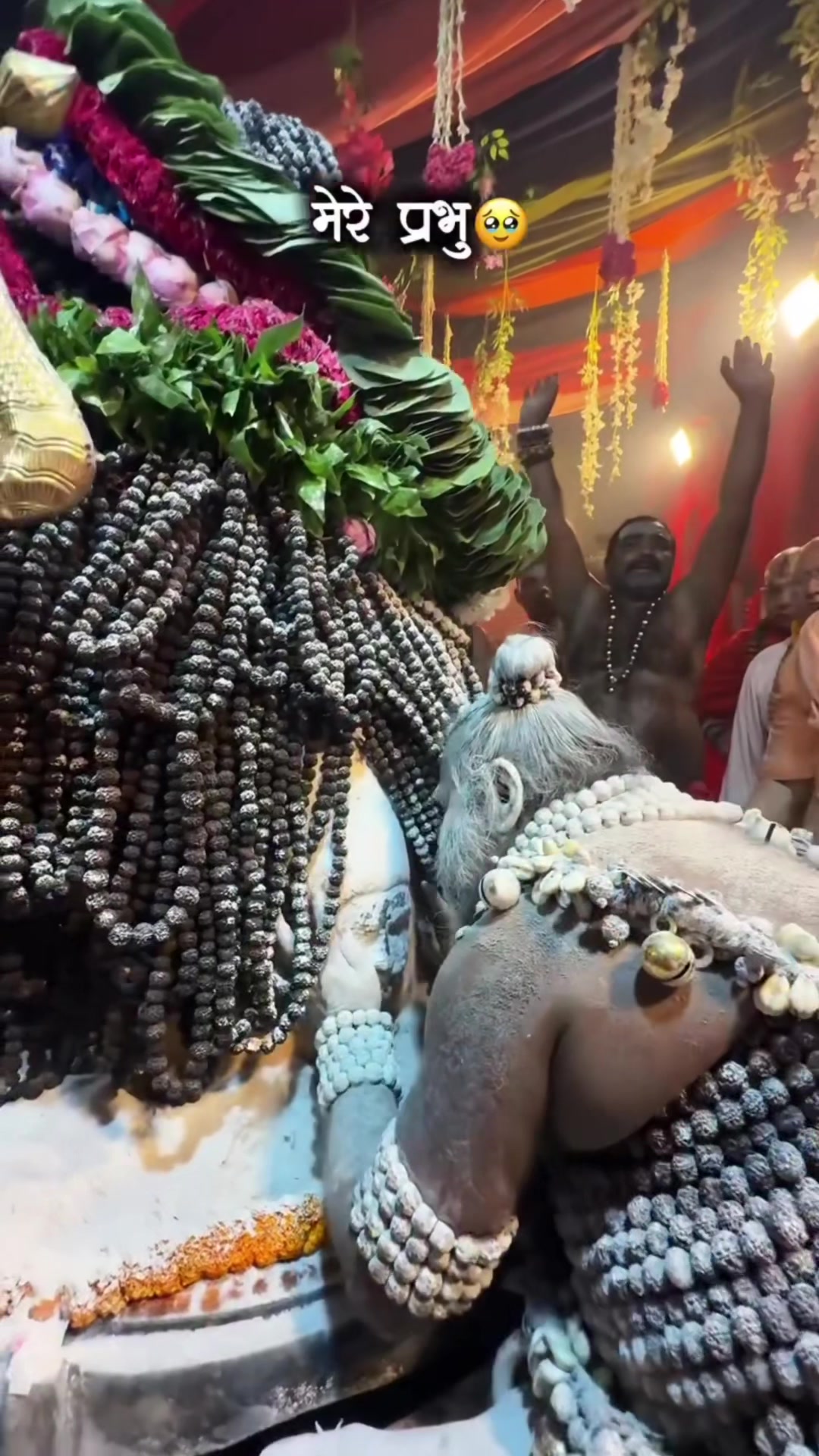@harharmahadev205v