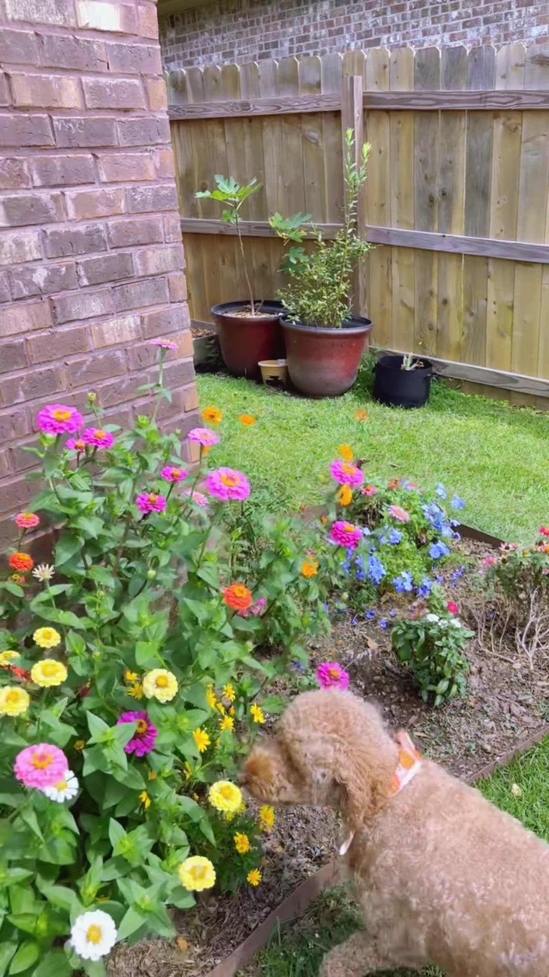 @👩🏻🌾 Hiba’s Garden🪴🌻