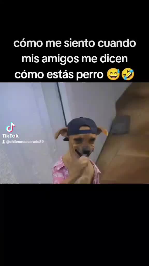 @chepe chepe