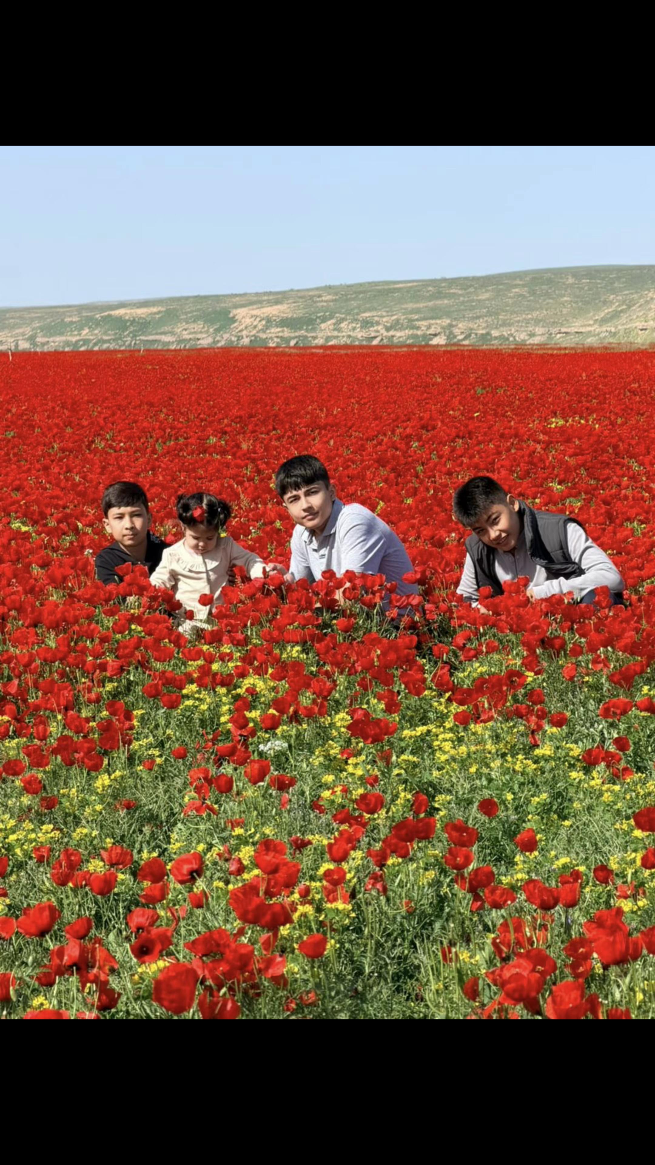 @سردار
