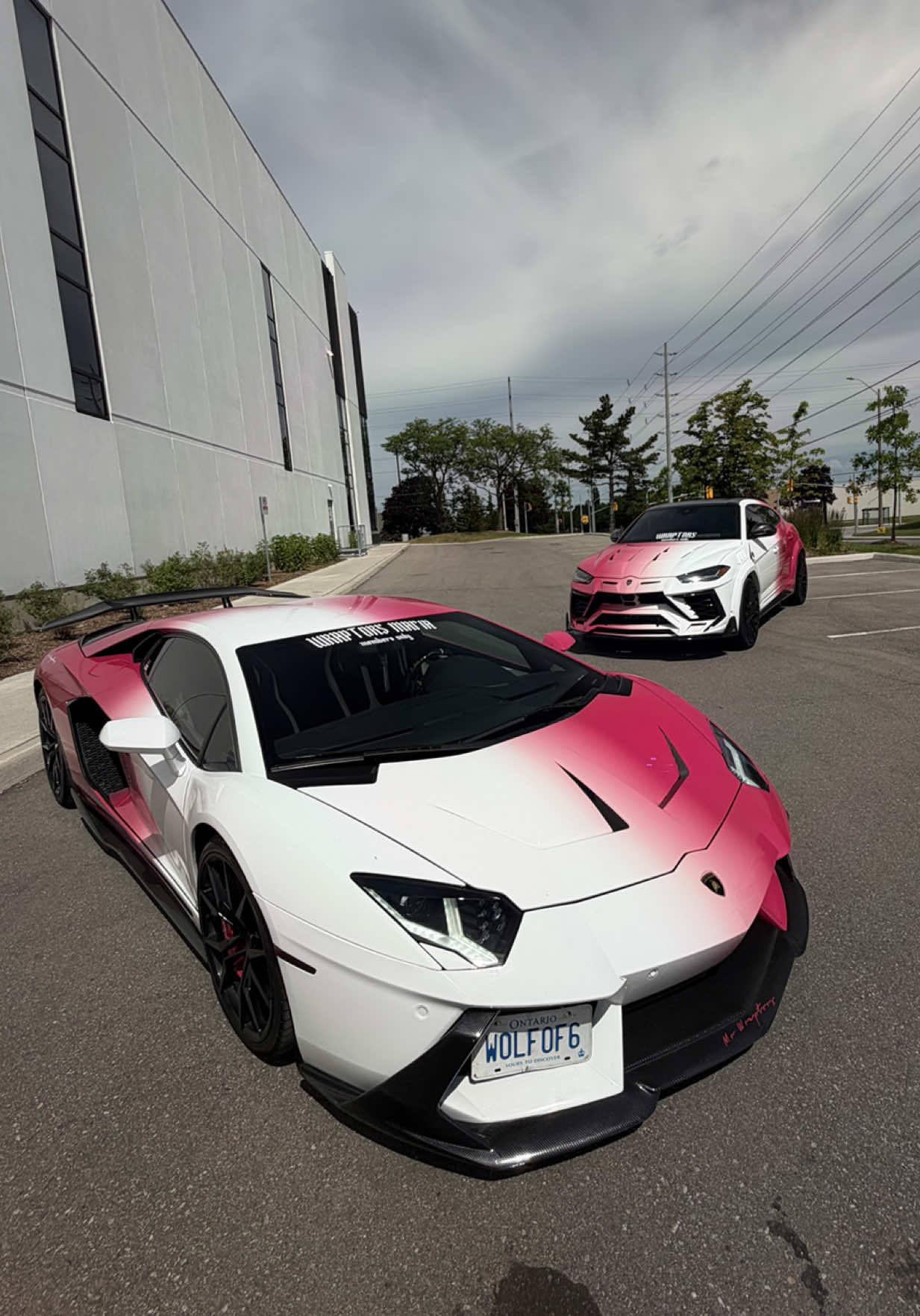 @Wraptors Toronto
