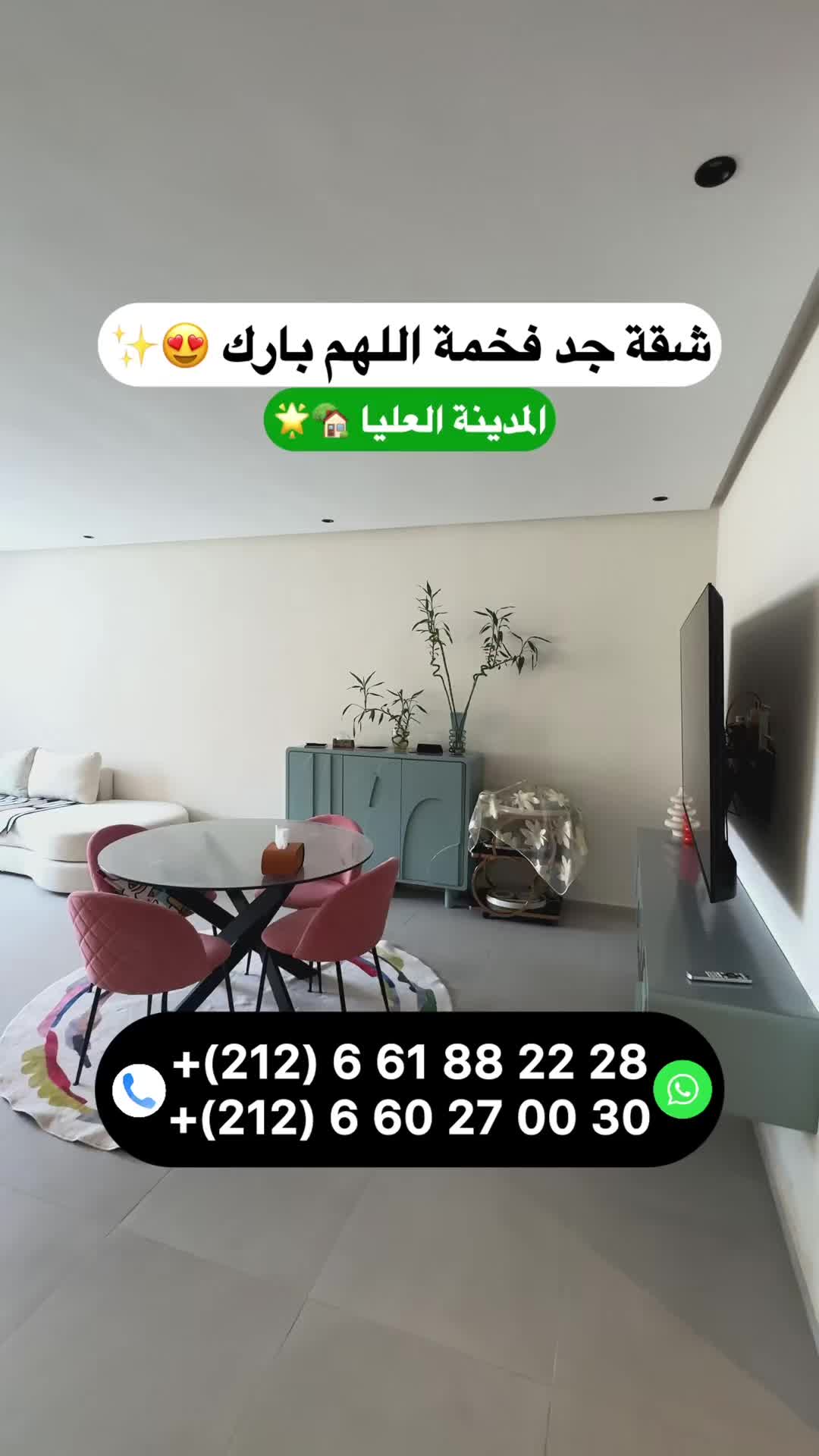 @Zakaria Haddad 🇲🇦🇵🇸