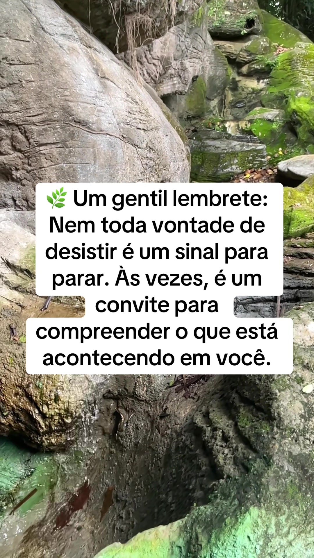 @Vanessa E. Santos | Terapeuta