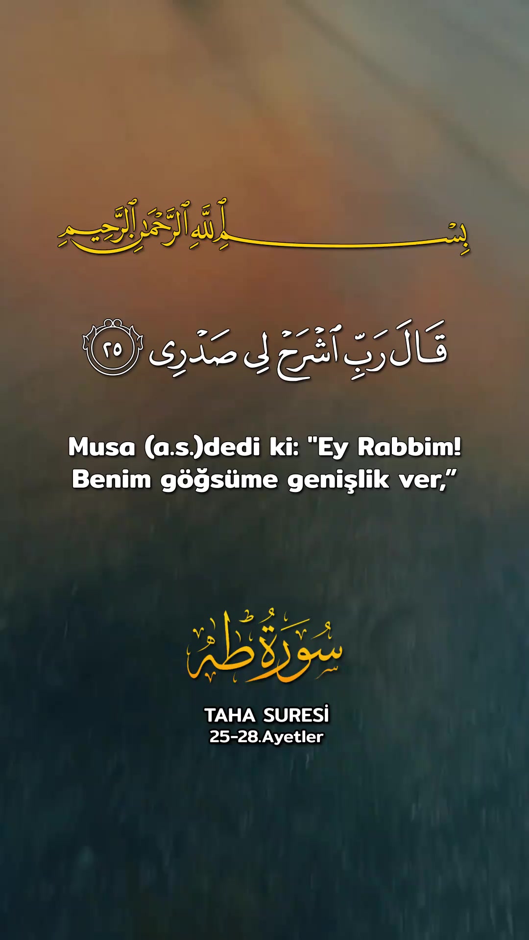 @_Hafizali61
