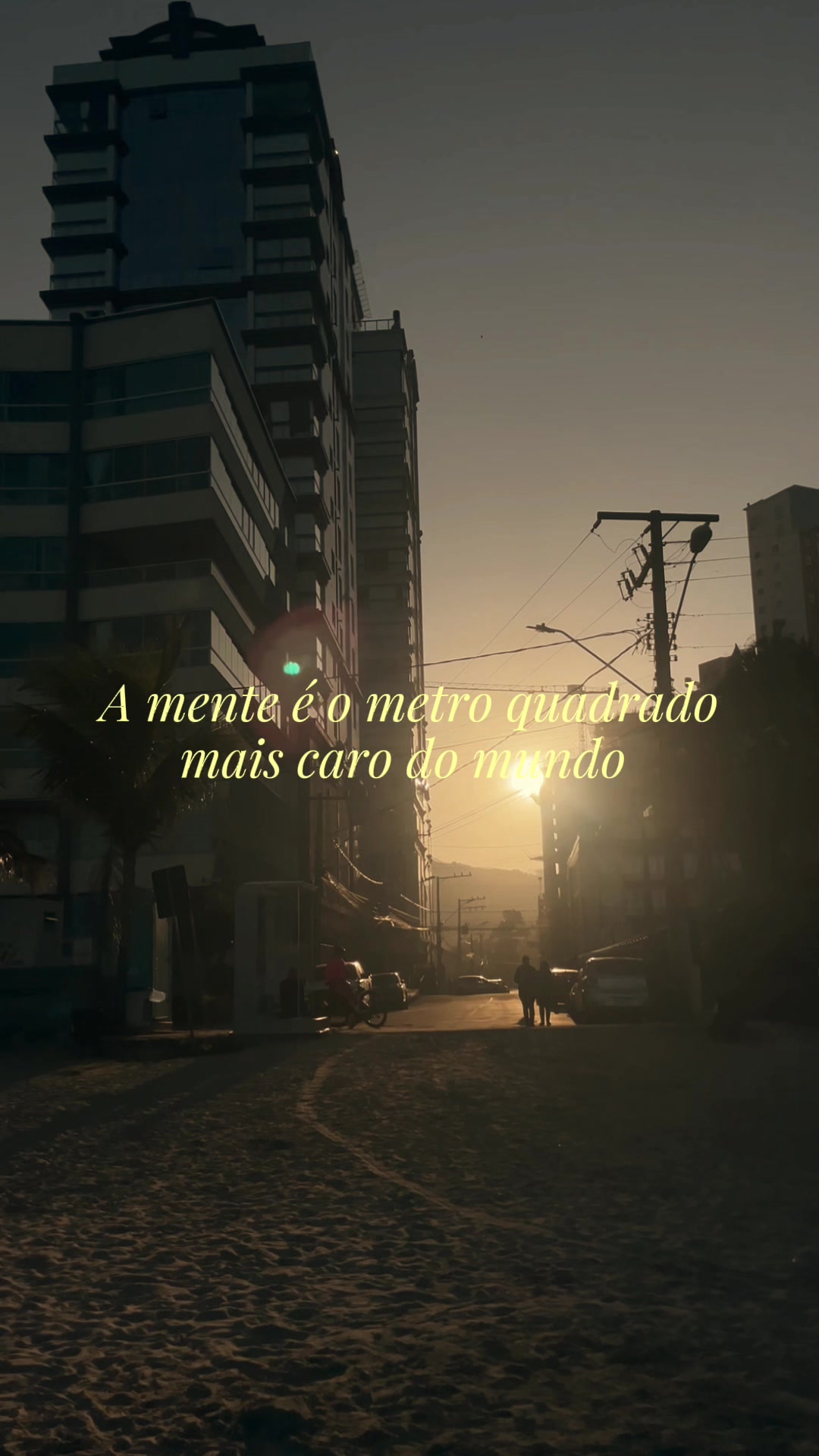 @Aline Ribeiro