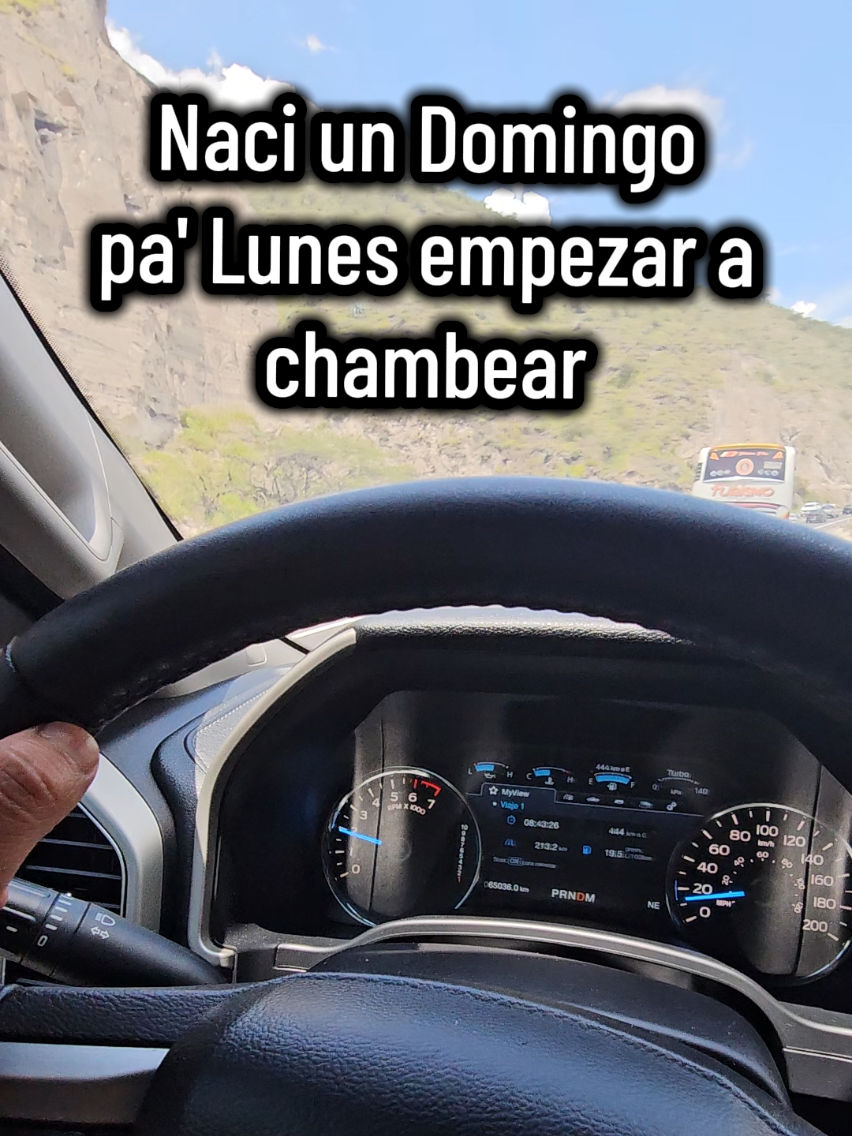 @Bosque's Cristian