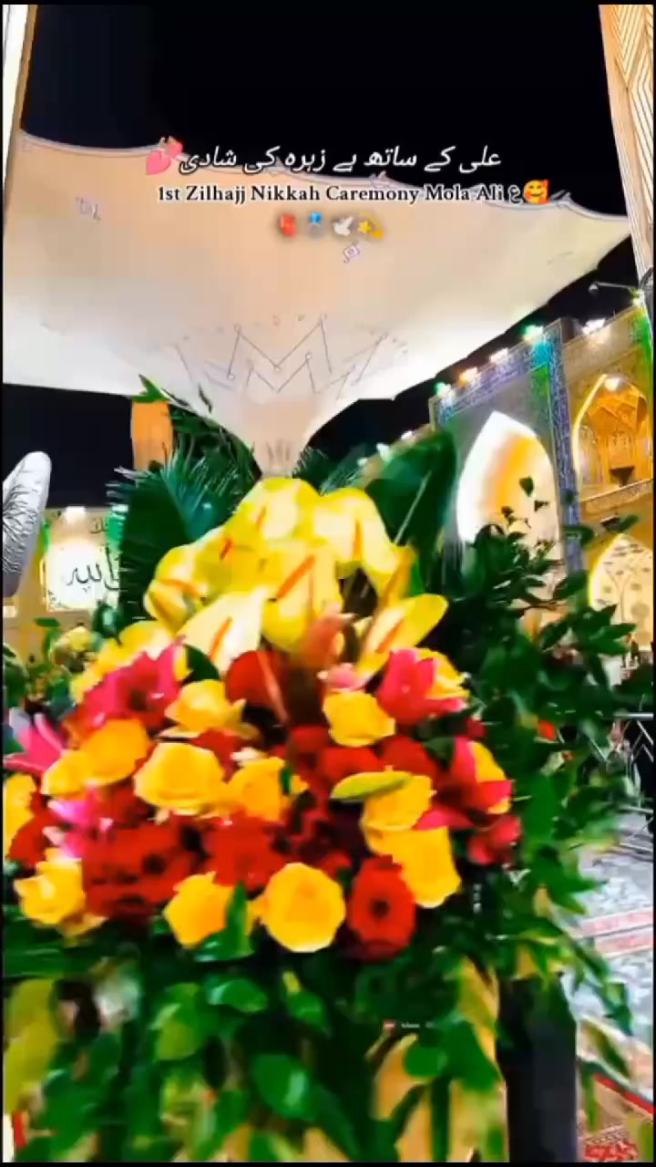 @ɪᴛ's ᴍᴇ ɴɪᴅ🧚&zwj;♀️