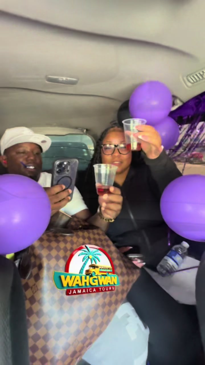 @wahgwanjamaica_tours