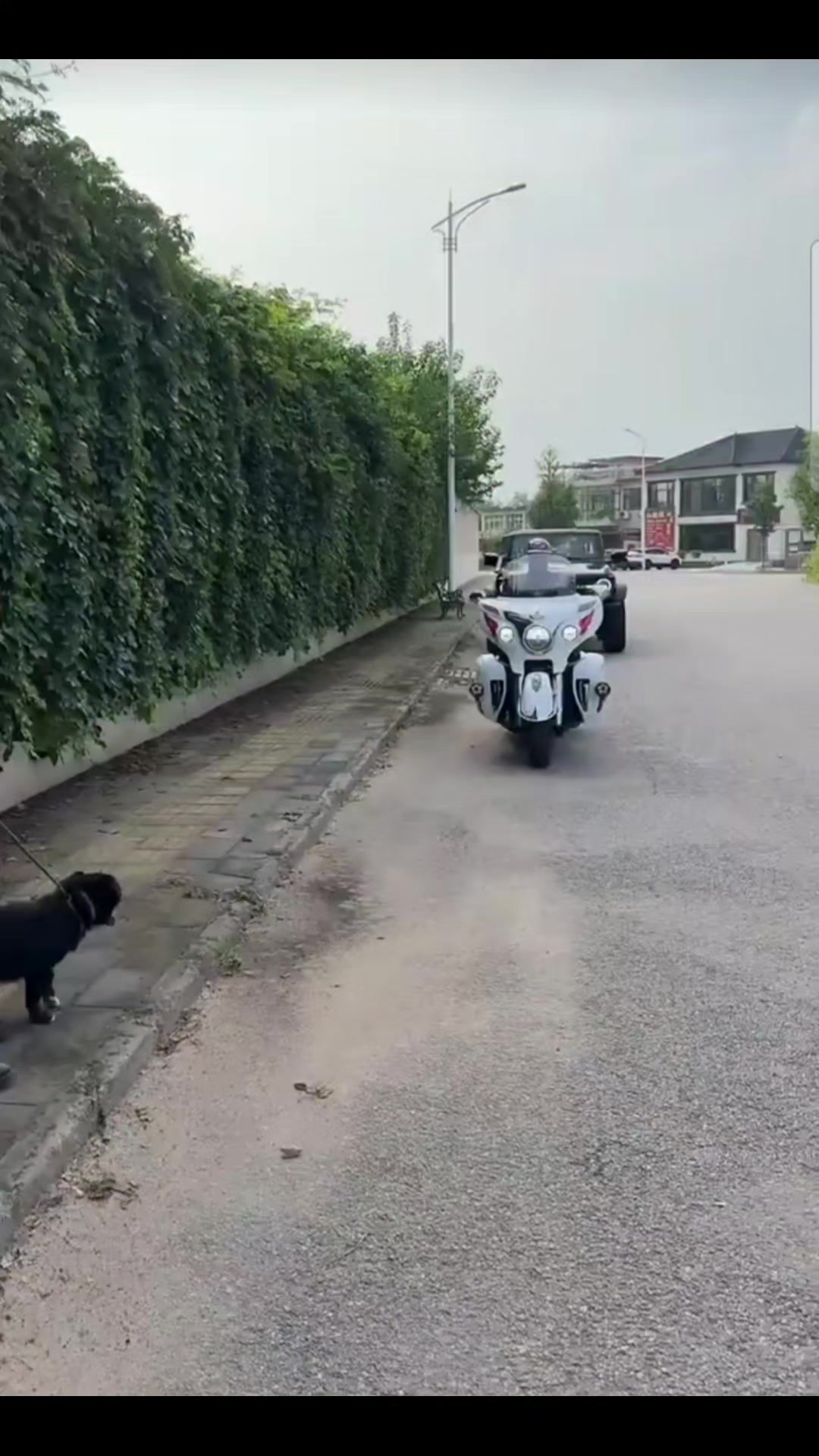 @𝕞𝕚𝕡𝕖𝕘𝕒.𝕠𝕟𝕝𝕚𝕟𝕖 🏍️
