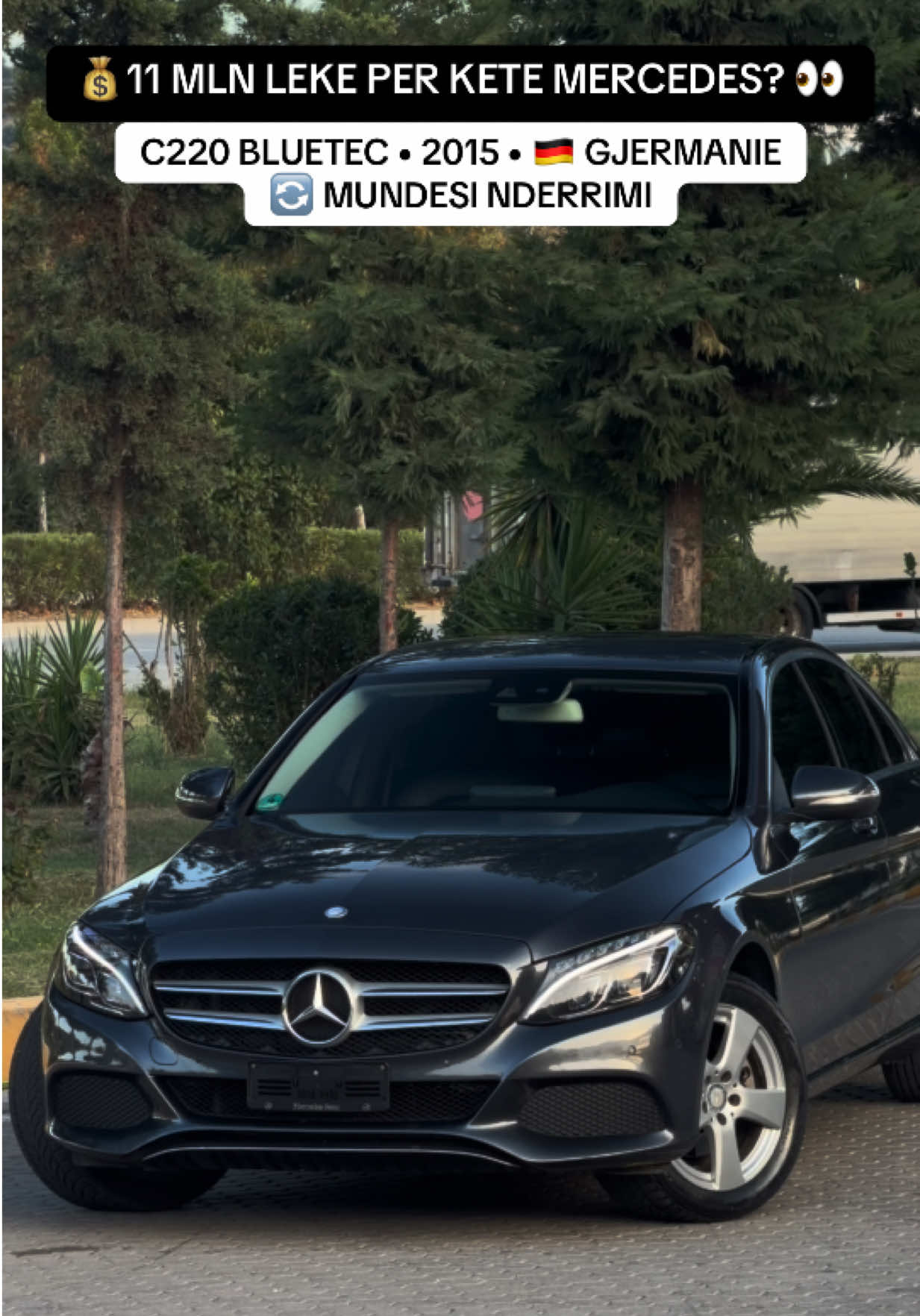 @AUTO ALPHA 🧿