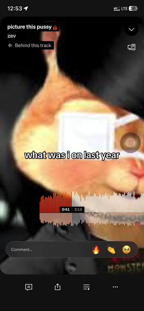 @zev