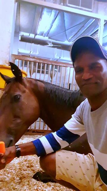 @kevin 🏆🏇🏇🏇🏆 🇸🇬🇲🇾🇳🇿