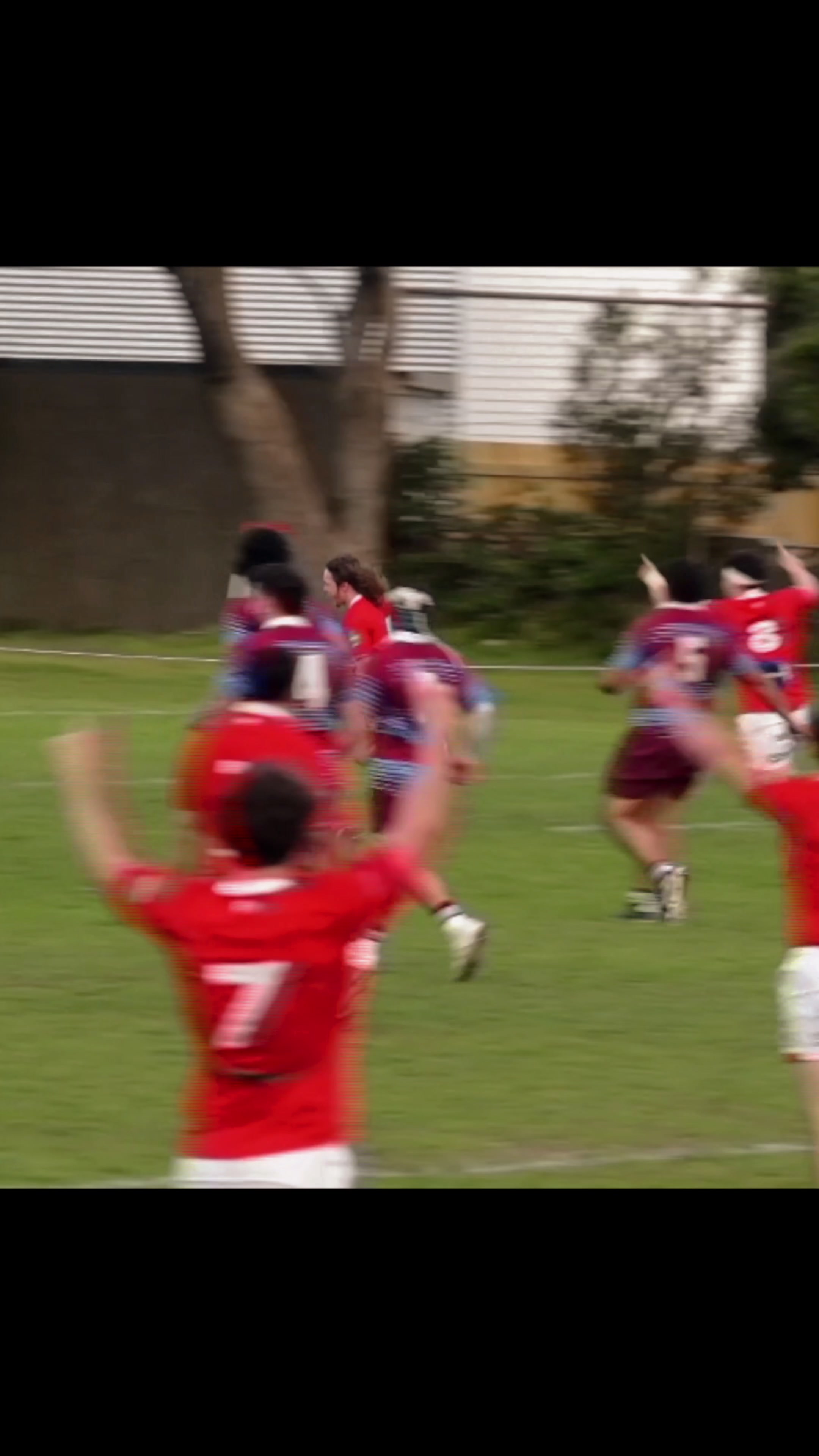 @msprugby