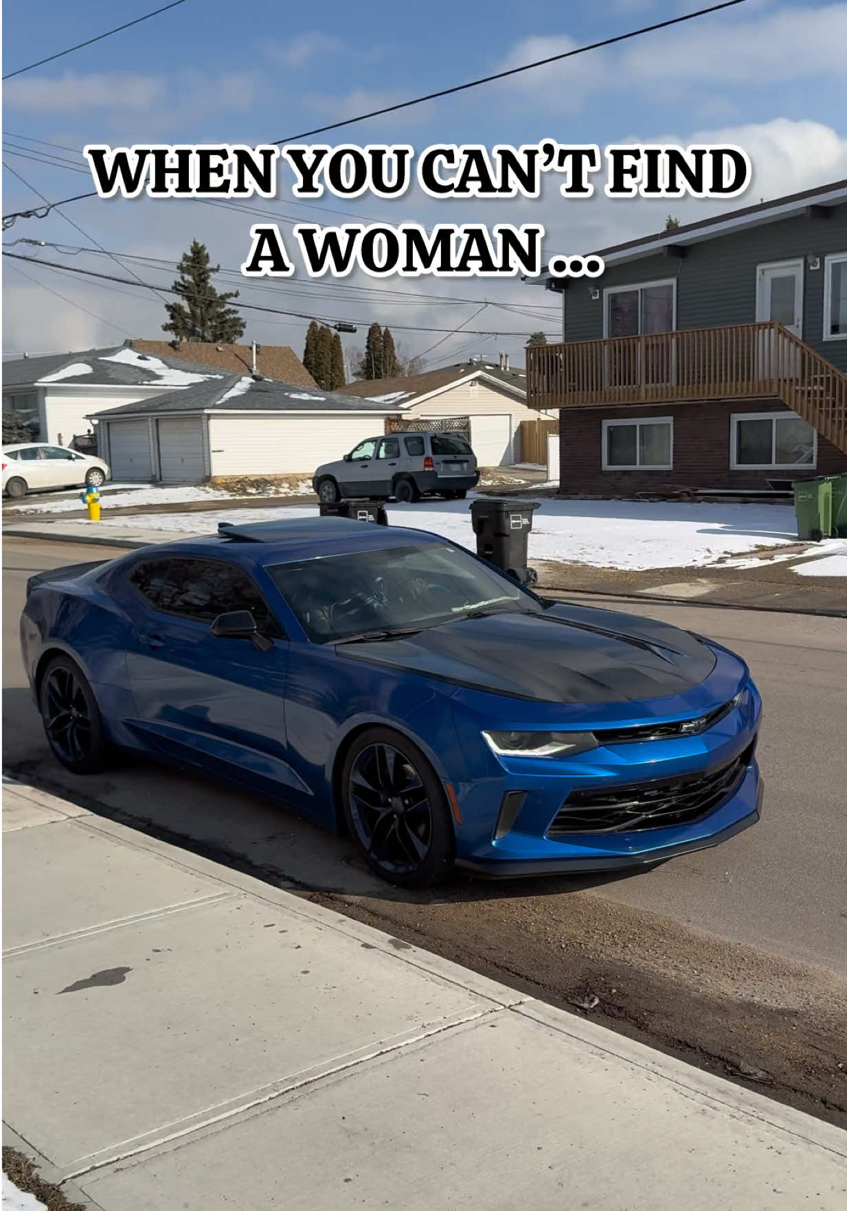 @LJ Muskwa