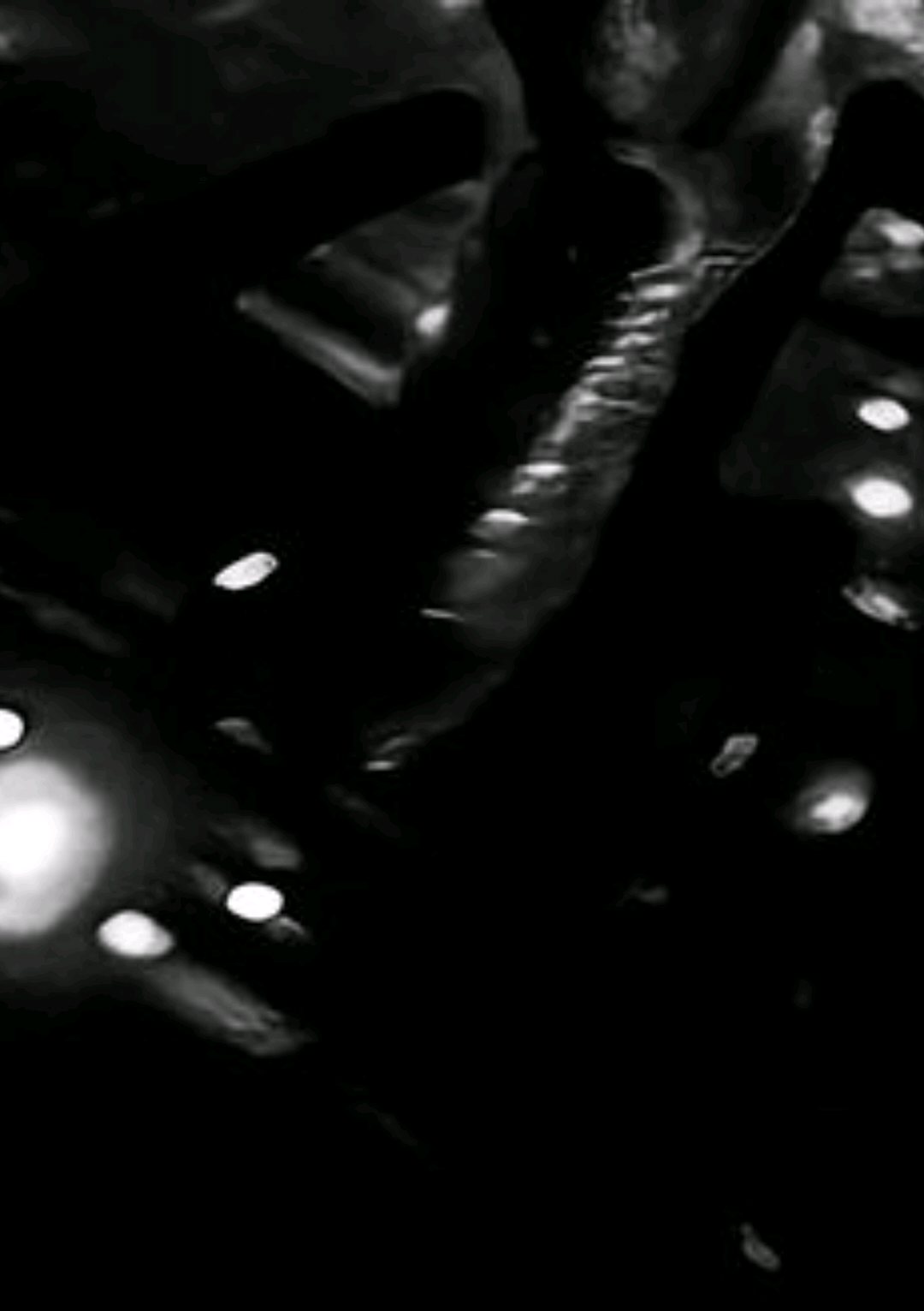 @𝐓𝐡𝐫𝐞𝐞𝟎𝟑.𝐌𝐮𝐬𝐢𝐜