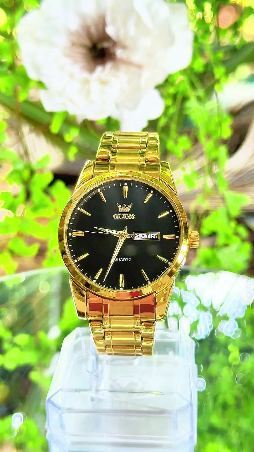 @LanLan-WATCH✅