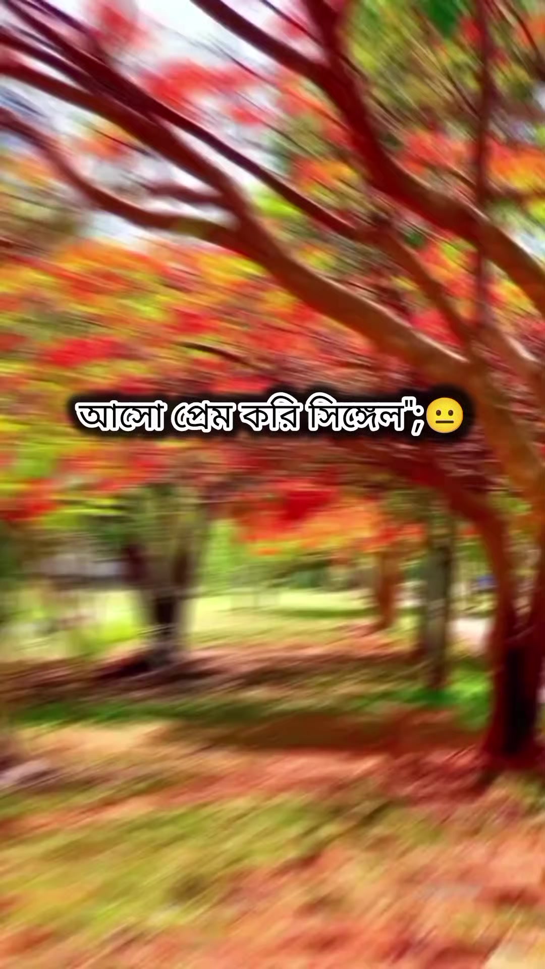 @👑জাতীর࿐সেলেব্রিটি࿐ভাইয়া࿐👑