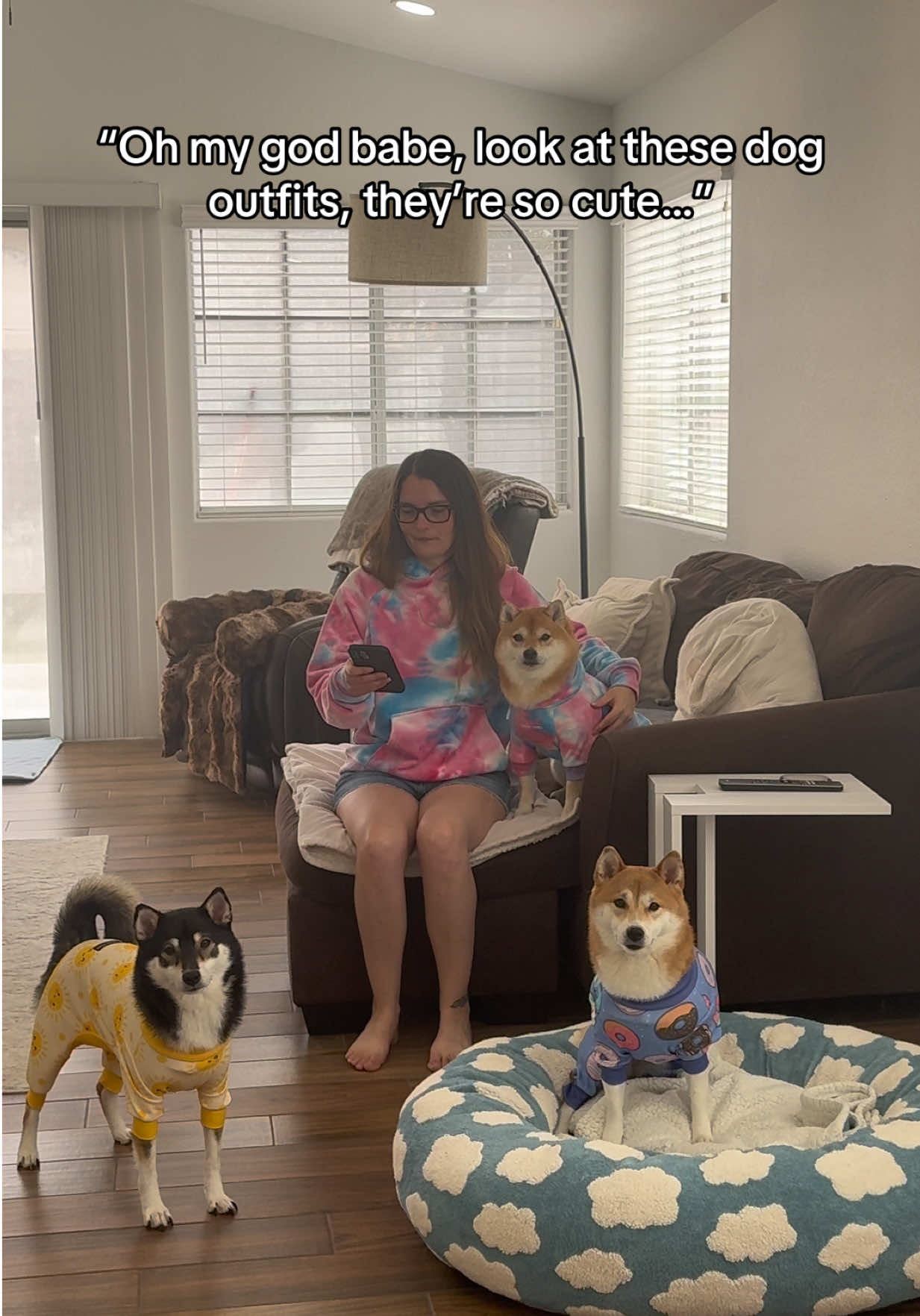 @Flock of Shibas 🐕🐕🐕