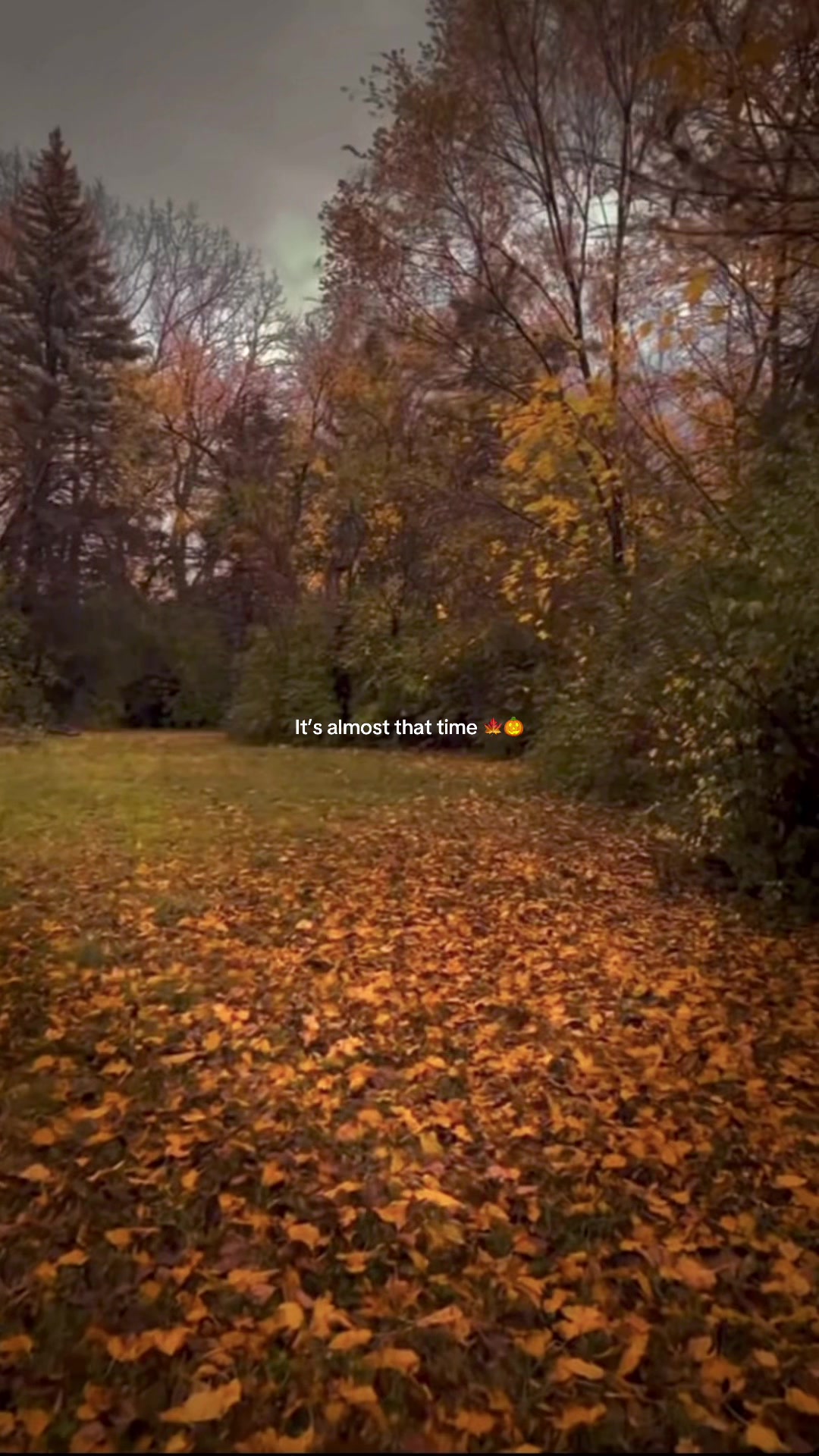 @thyyprincess._