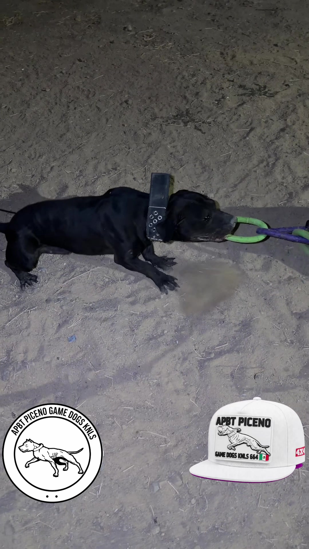 @APBT PICENO TIJUANA
