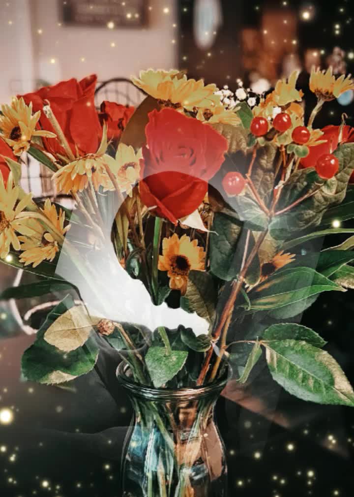 @Randoms_321.1