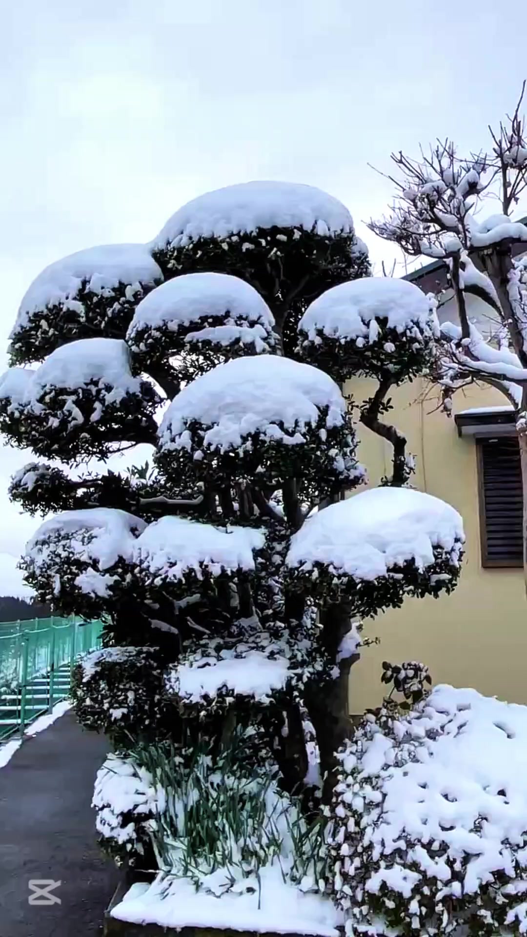 @Heavenly Japan 🇯🇵