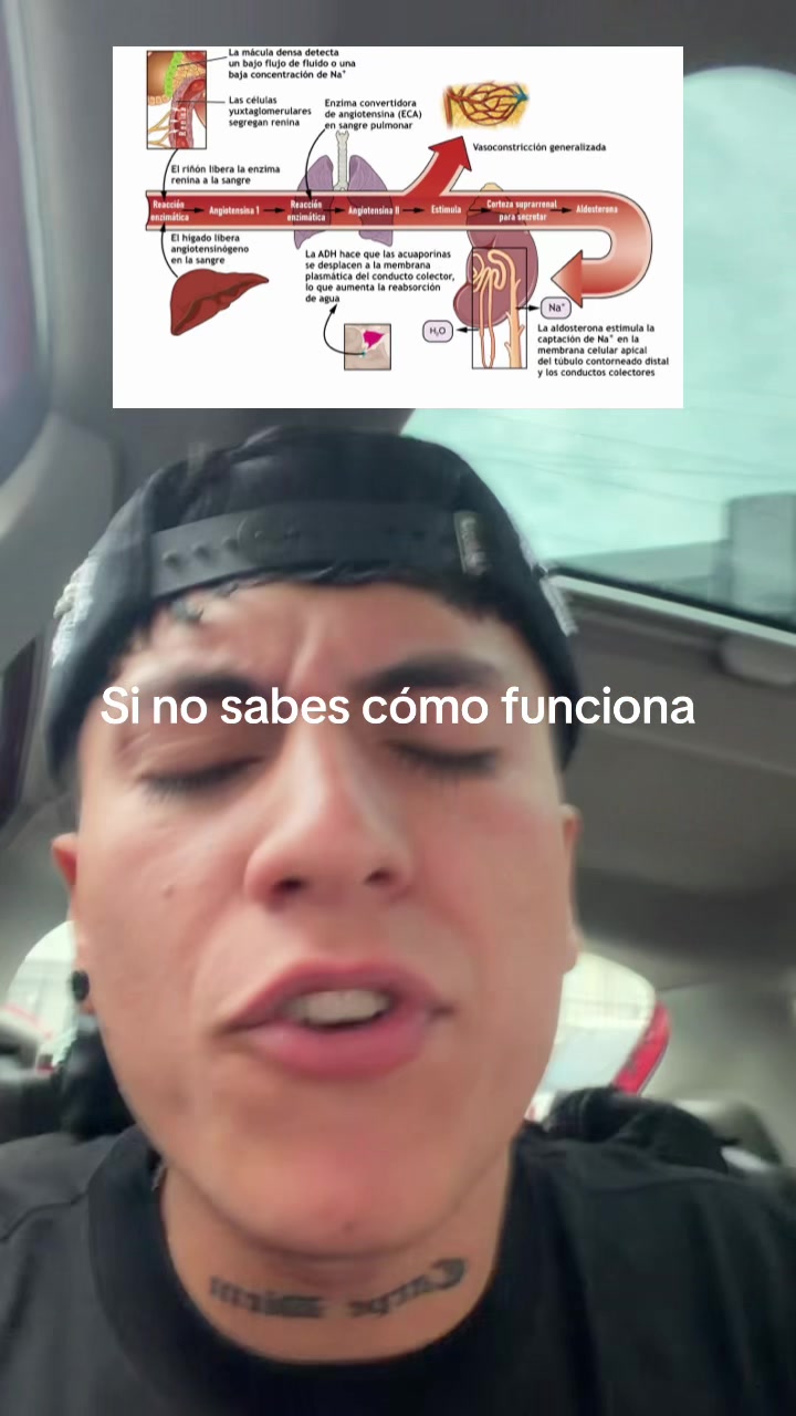 @ENDOBOY